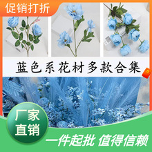 ��������ò廨ϵ���Ľ���·����cĵ������õ���Y�{ɫ