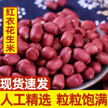 �tƤ���������t�o���t���������׻������a��؛��Ѫ����s�Z���l