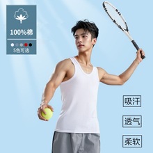 男士纯棉背心夏季运动健身青年坎肩跑步速干无袖t恤男薄款打底衫