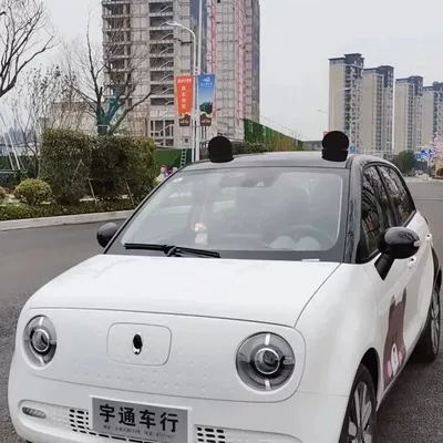 Car Roof Decorative Ears, Other Automotive Exterior Supplies