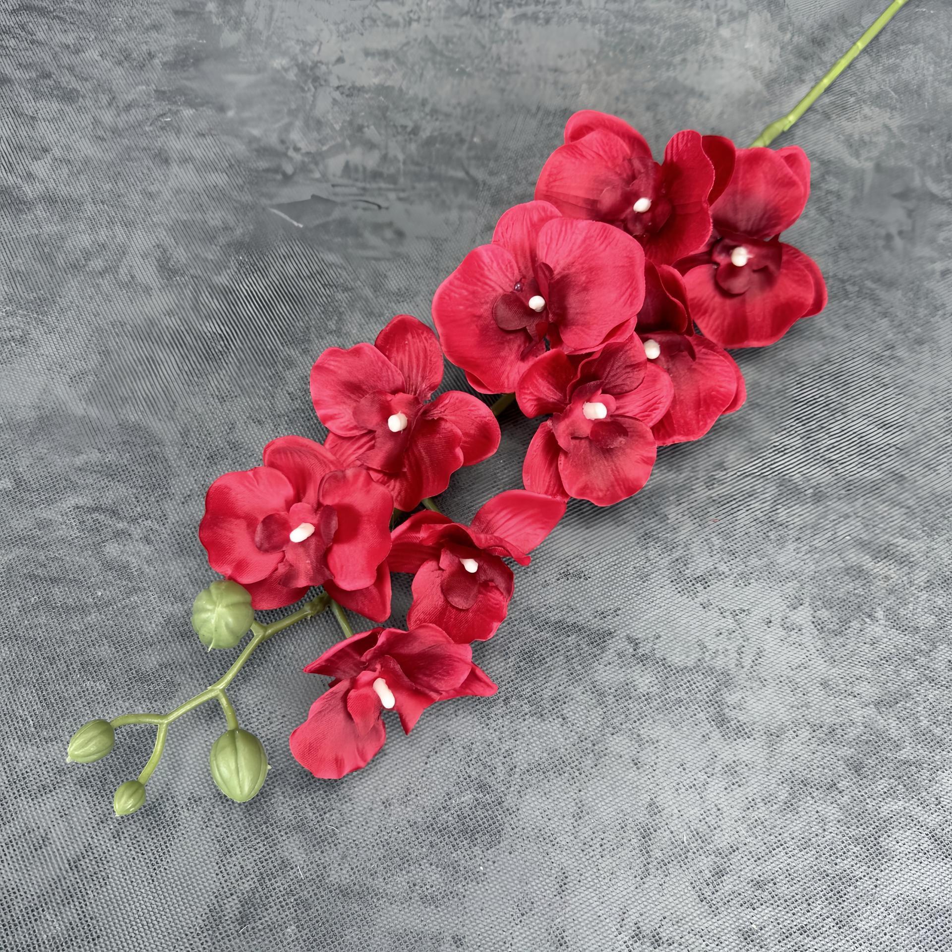 Rojo