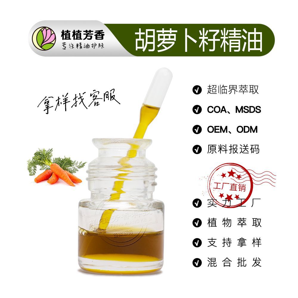 胡萝卜籽油 超临界提取胡萝卜籽油 Carrot seed Oil 厂家加工批发