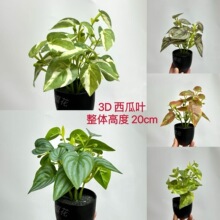 �羳���滨3D�����~�Gֲ�辰�Ҿӿ͏d�����b������������ϸ߷���