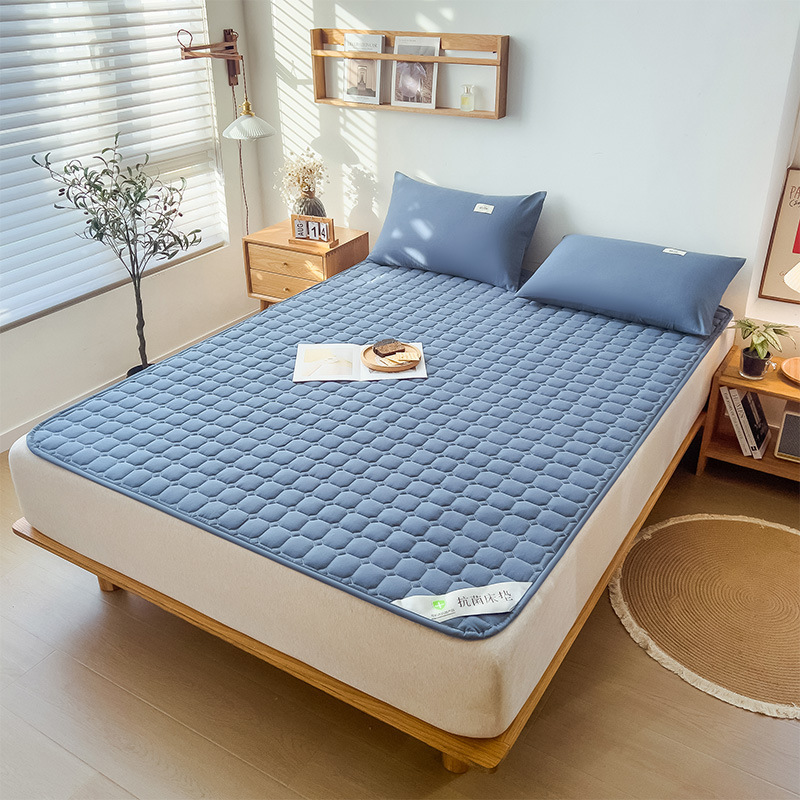 Four Seasons Universal Machine Washable Mattress Quilt Protective Mat Tatami Non-Slip Protective Mat Bed Mattress Single Double Student Dormitory