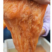 ���S���l��������̨�خa���r�����c����^�Fُ���l�������K