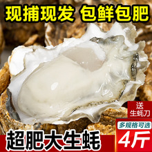 �r����򺳬�����r����ĵϠ�ش����Ϡ�ӟ������r��S���]4��