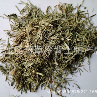 ���G,���e����,������,�ӹǲ�,��ș��ľ�\��ֲ��G��ȫ��