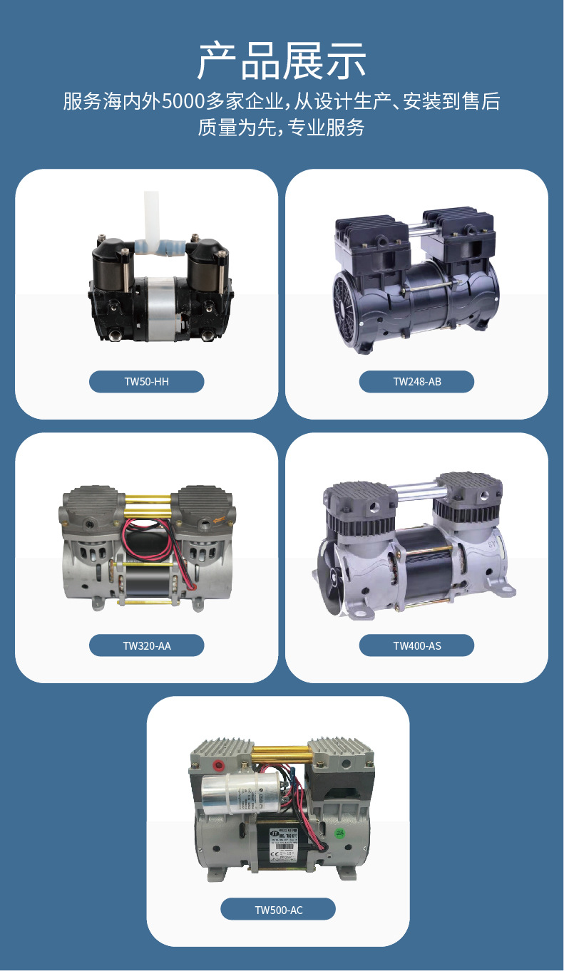 Source Manufacturer Oil-Free Silent Air Pump Compressor Dc Portable Oxygen Generator Air Compressor 12V/24V