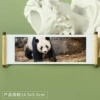 Panda96