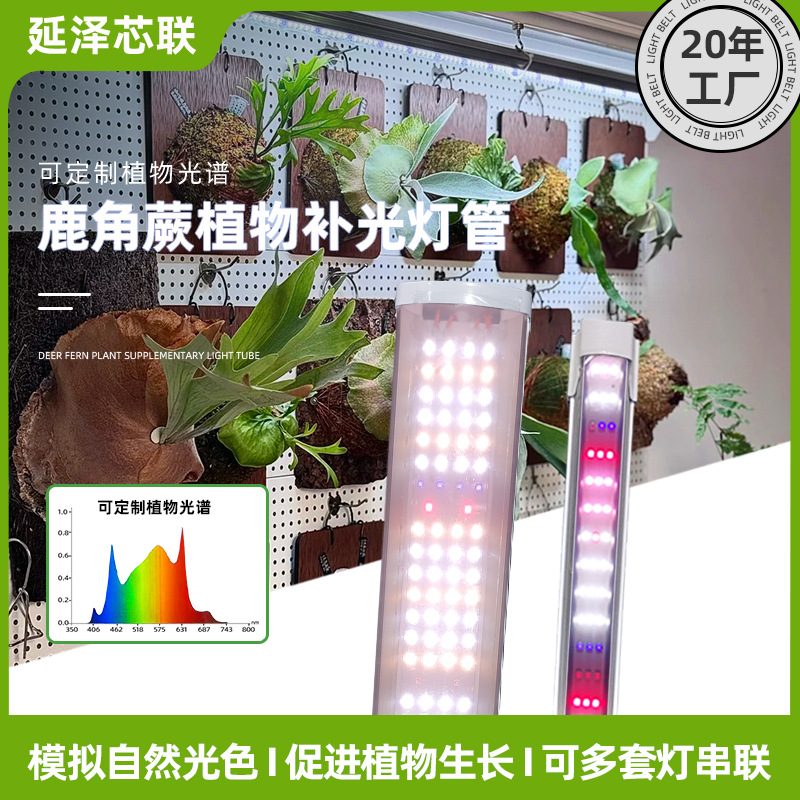 Lámpara de luz de plantas T8 orquídea de corno de ciervo de espectro completo de alta potencia de cultivo de plántulas de tejidos lámpara de crecimiento de plantas de flores interiores