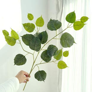 ����������~�����~�Θ��~��ɫ�^�z���~����乤���쾰�b٘��~