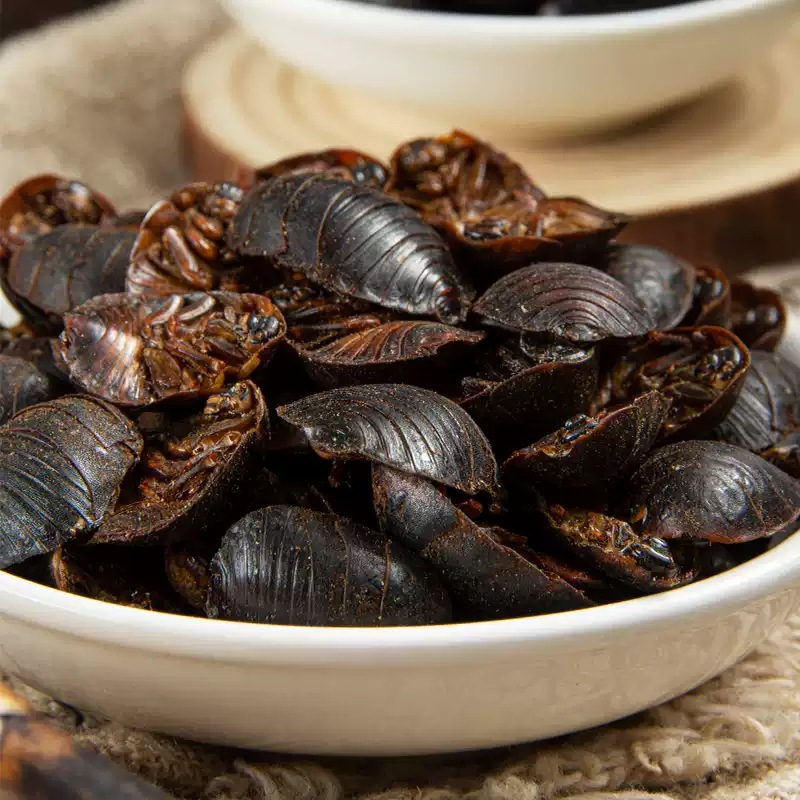 Tu Yuan Dried Ground Beetle Whole Insect TCM Herb 500g Shandong Origin specifications