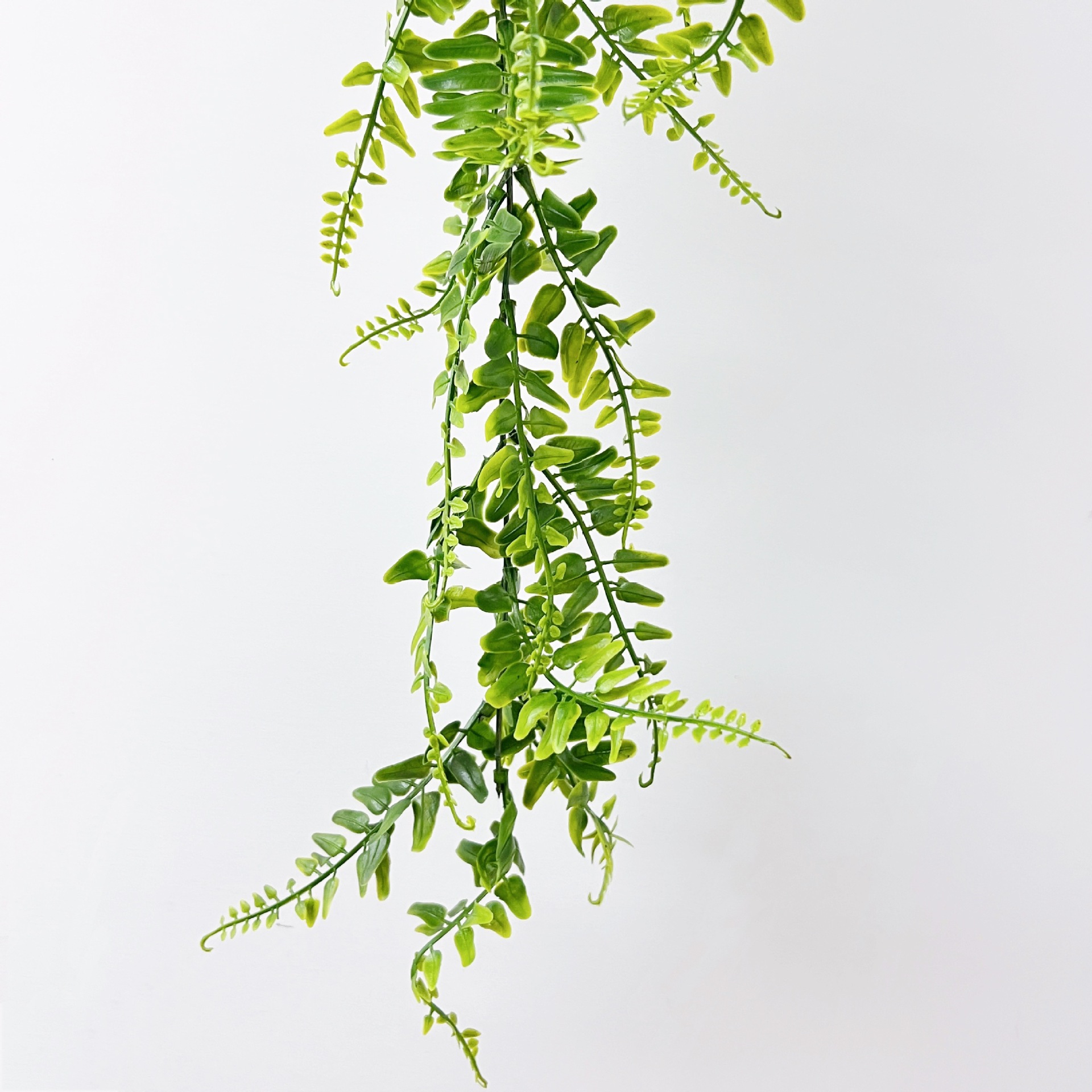 微信图片_20220705143000