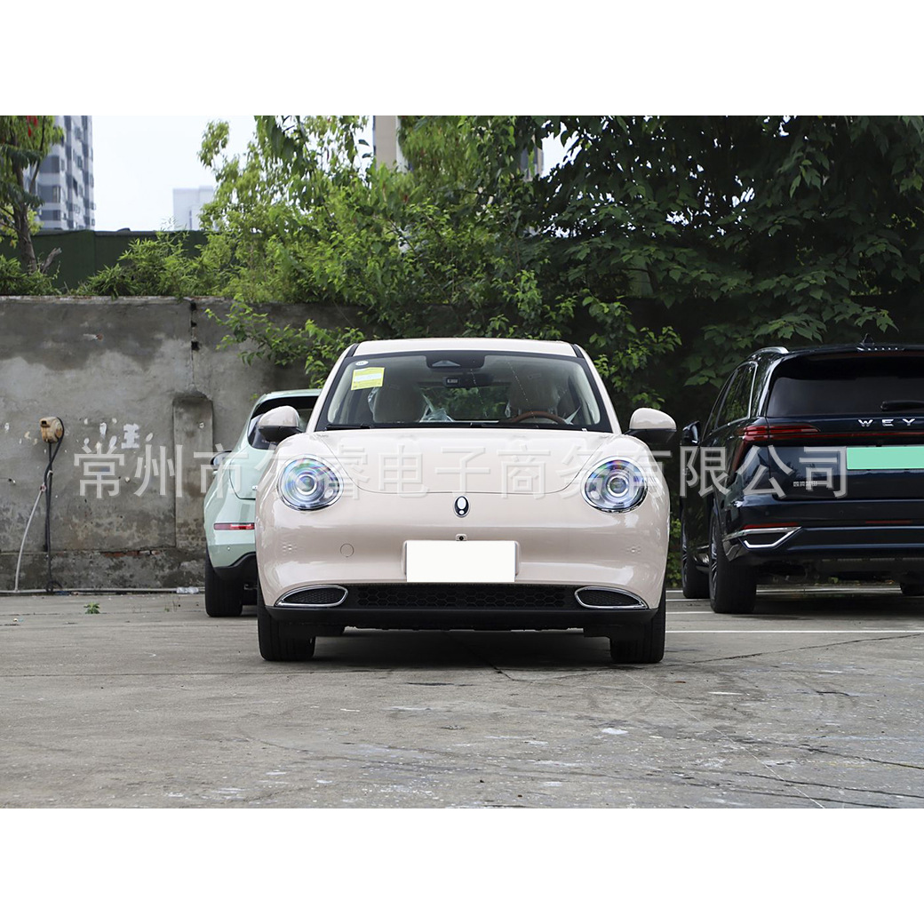 Suitable for Great Wall New Energy Ora Good Cat EV front bumper and front and rear guardrails