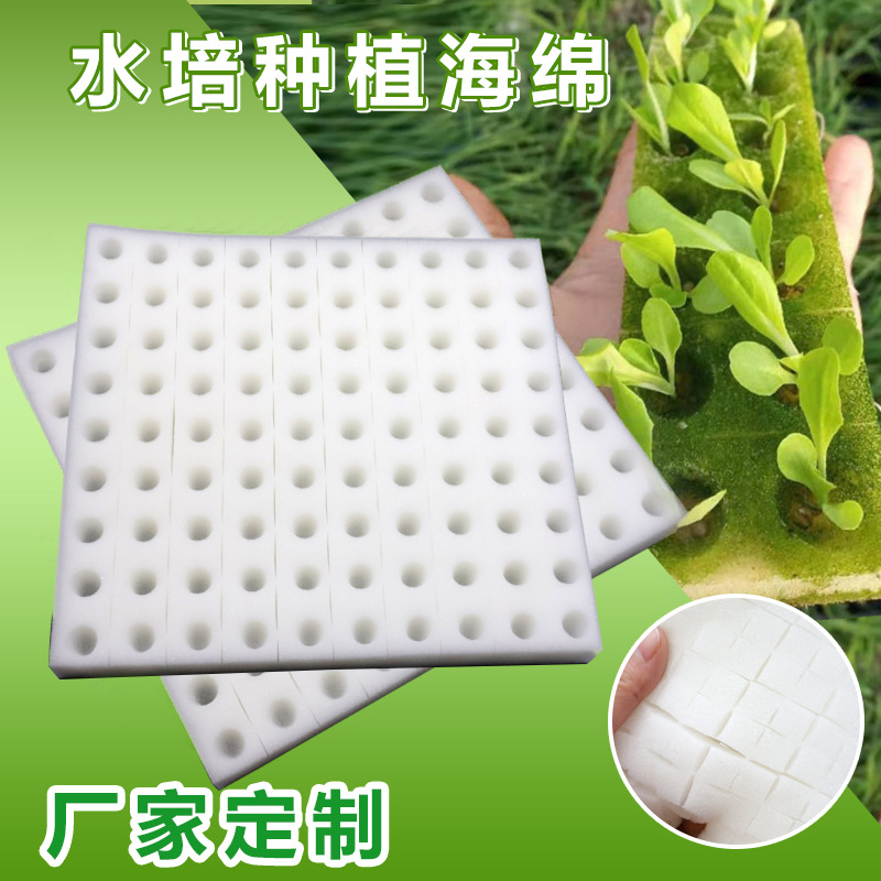 Round cross Cultivation plant water uptake sponge Soilless cultivation Vegetables Sponge Cotton planting