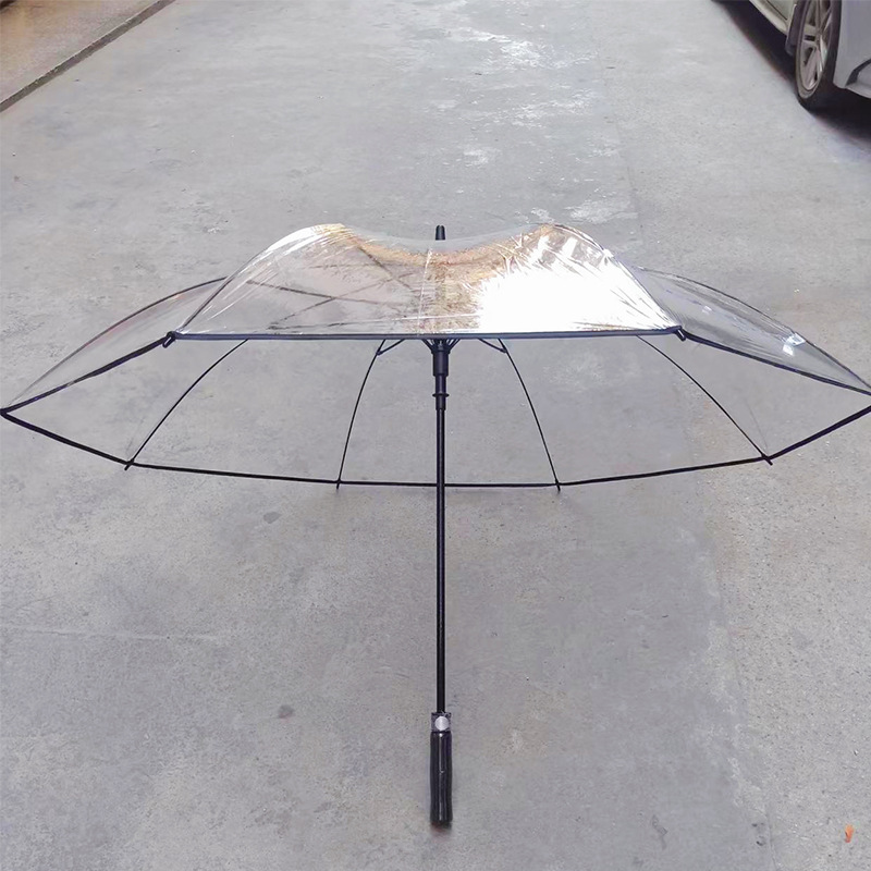 透明伞