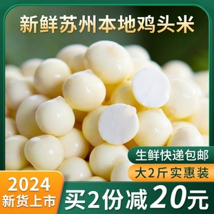 2���u�^�����r�K���خa�r�͌��Č����r���Ԯa�K�ͷ��ք���؛