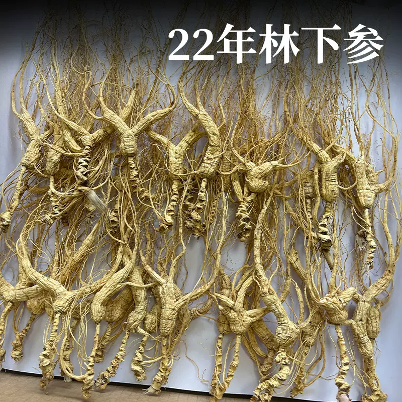人参长白山野山参正宗东北人参生晒林下参22年国检一等品质礼盒装