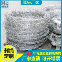 佛山厂家直销铁丝刺网刺线刀片刺网防爬刺网小区防盗网防爬刺刺线