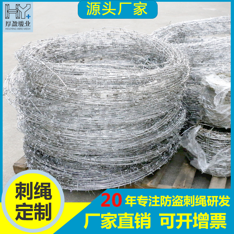 佛山厂家定制铁丝刺网刺线刀片刺网防盗刺网小区防盗网防爬刺刺线