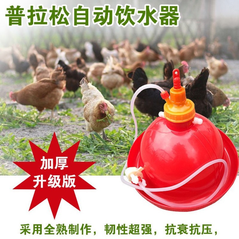 C型普拉松自动饮水器水槽禽用喂水器羽佳直销加厚全新熟料