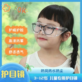 太阳镜;老花镜;护目镜