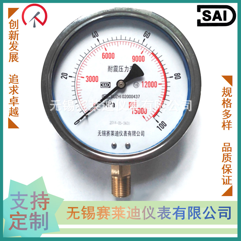 无锡赛莱迪 耐震高压压力表YN-150 高压径向
