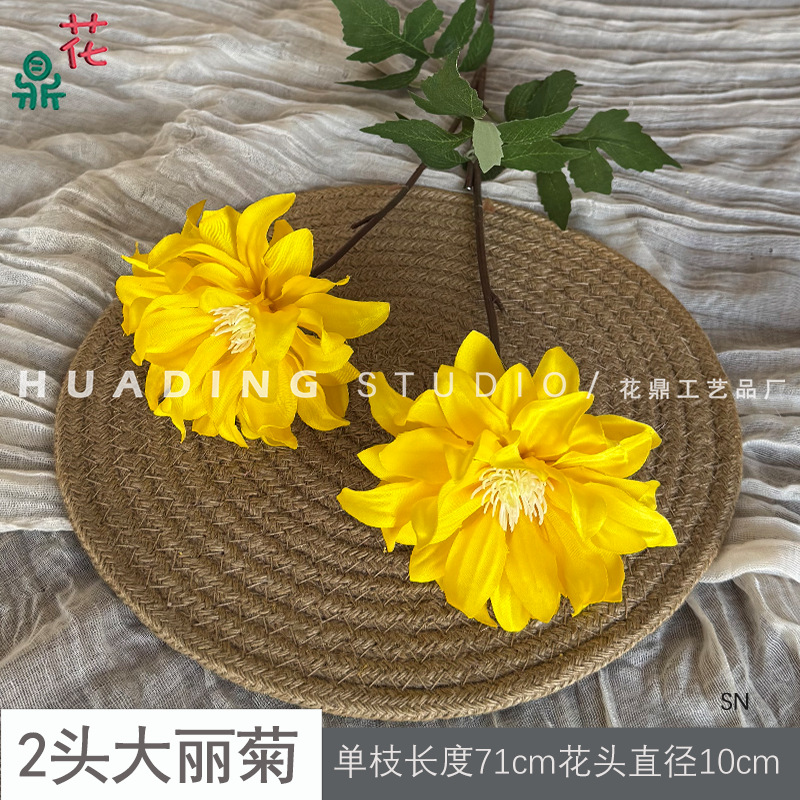 2송이 달리아 SN 옐로우