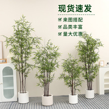 仿真竹子紫竹盆栽新中式落地假竹子假绿植盆栽摆件大型植物造景