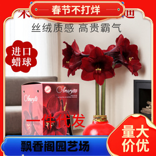 һ�����l��피t�N���M��Ϟ����������피t�ذ껨��ȸע���t�F�尲