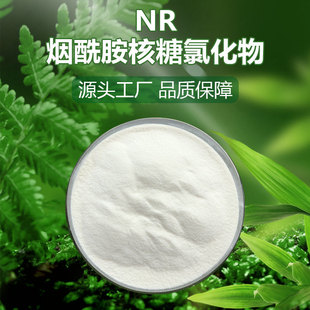 ����������NR �S����B3������/NADʳƷ������������ �F؛ԭ��