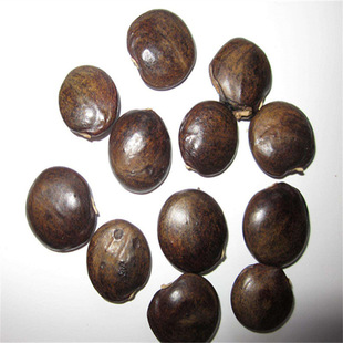 �໨���ٷN�� �����辰 �·N�ӾG���е���ľ��ľ��N�� ����ֲ��