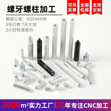 不锈钢车床压铆螺柱铆柱 机加工热镀锌双头螺杆拉条 灯饰调节螺丝