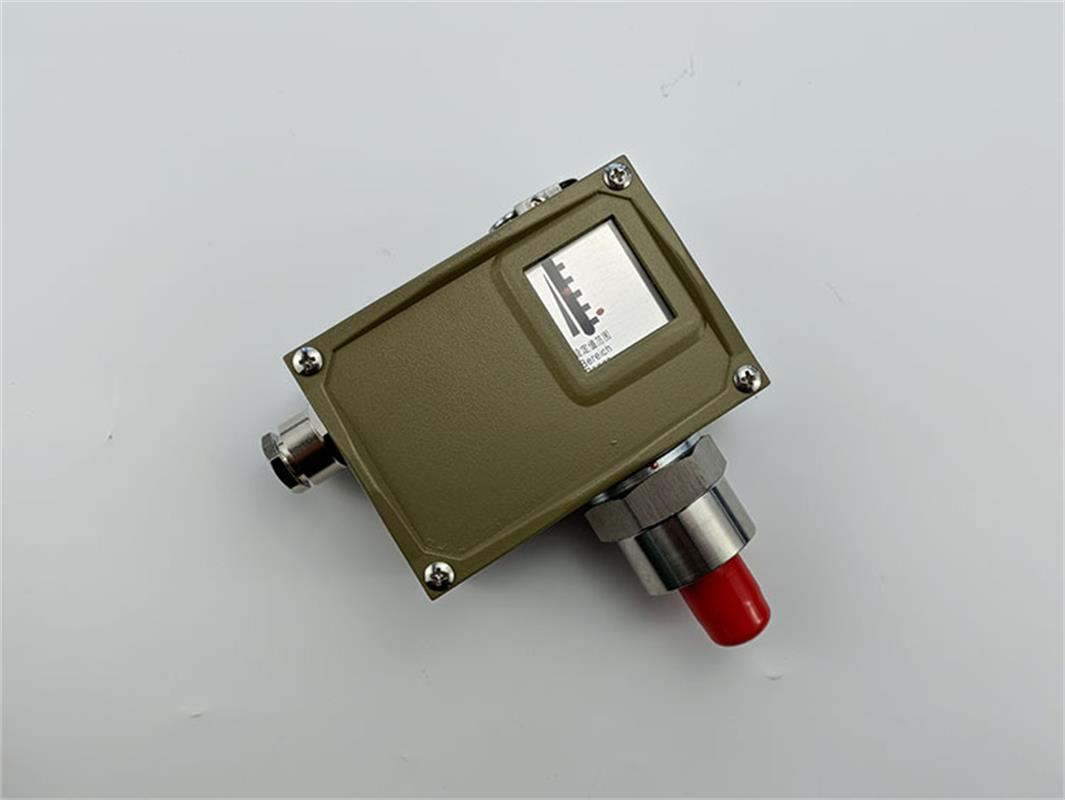机械压力开关 型号SM6-MTDP-CX20AJ2TN1210 库号M391936