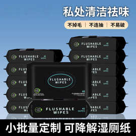 跨境湿厕纸家用可冲马桶清洁抗菌不连抽湿厕纸亲肤无刺激湿厕湿巾