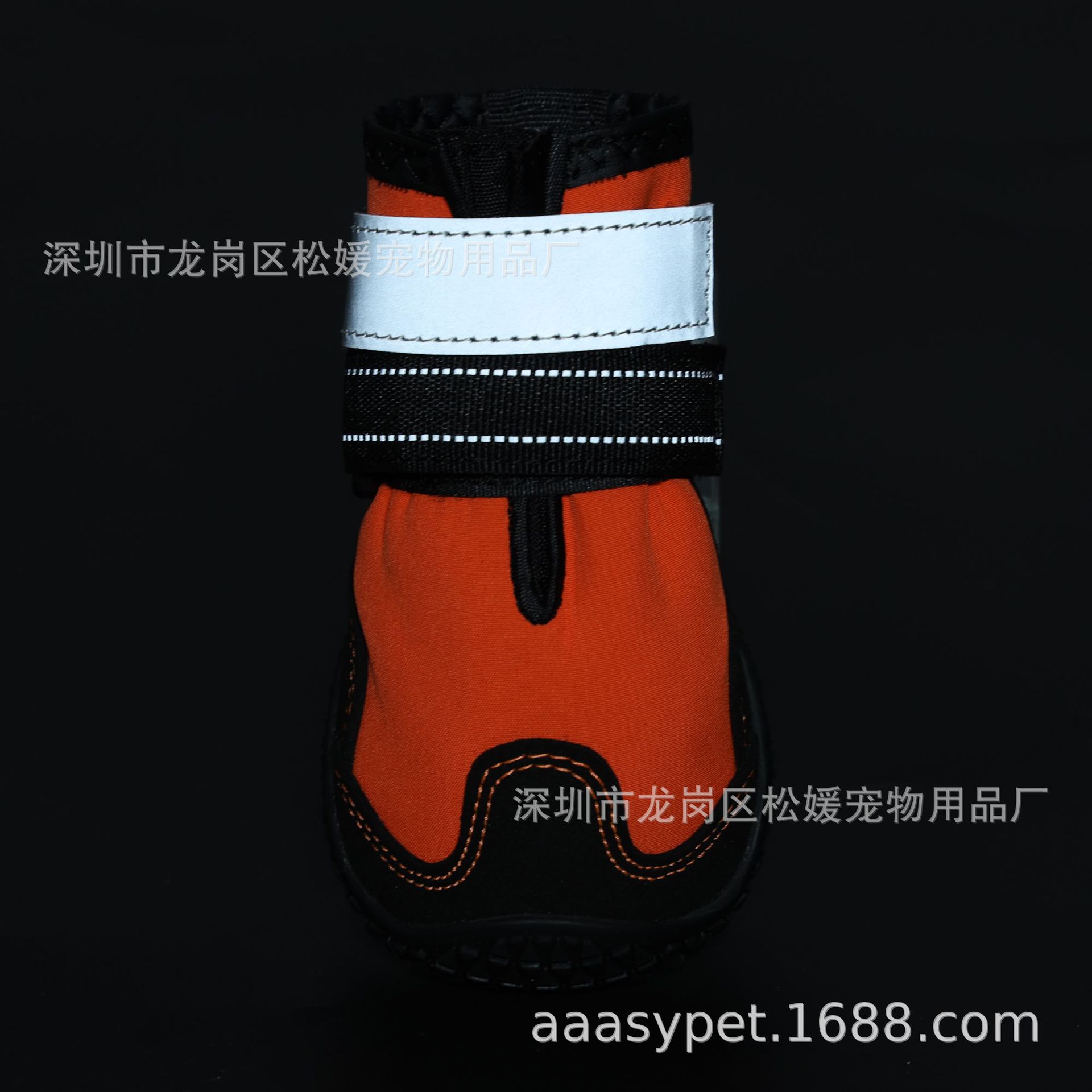 4N2A4620-.jpg