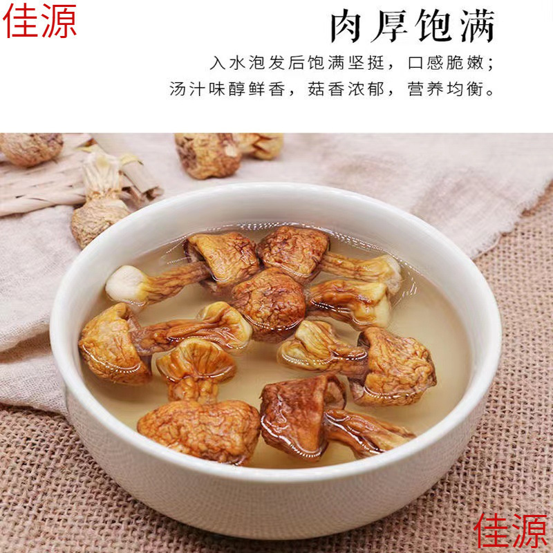 松茸干货500g云南无熏硫食用野生菌菇巴西蘑菇包邮特产煲汤|undefined