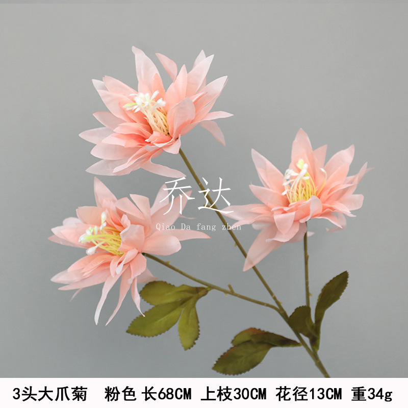 3 Large Claw Chrysanthemum