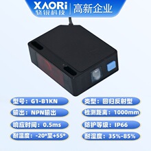 XAORI��JG1-B1KN�ؚw����t���늂�����NPNݔ���Б���