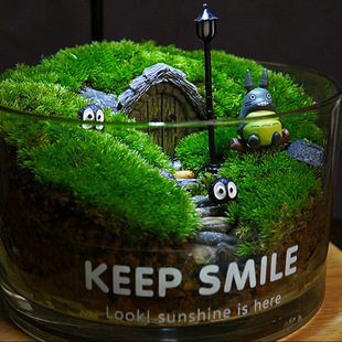 Lazy Plant Desktop Green Plant Private Lawn Moss Micro Landscape Ornaments Office Micro Landscape Finished Ecological Bottle