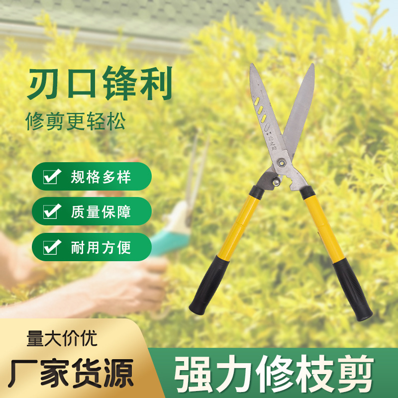 不锈钢果枝剪园艺插花果园修枝剪多用途园艺园林剪刀