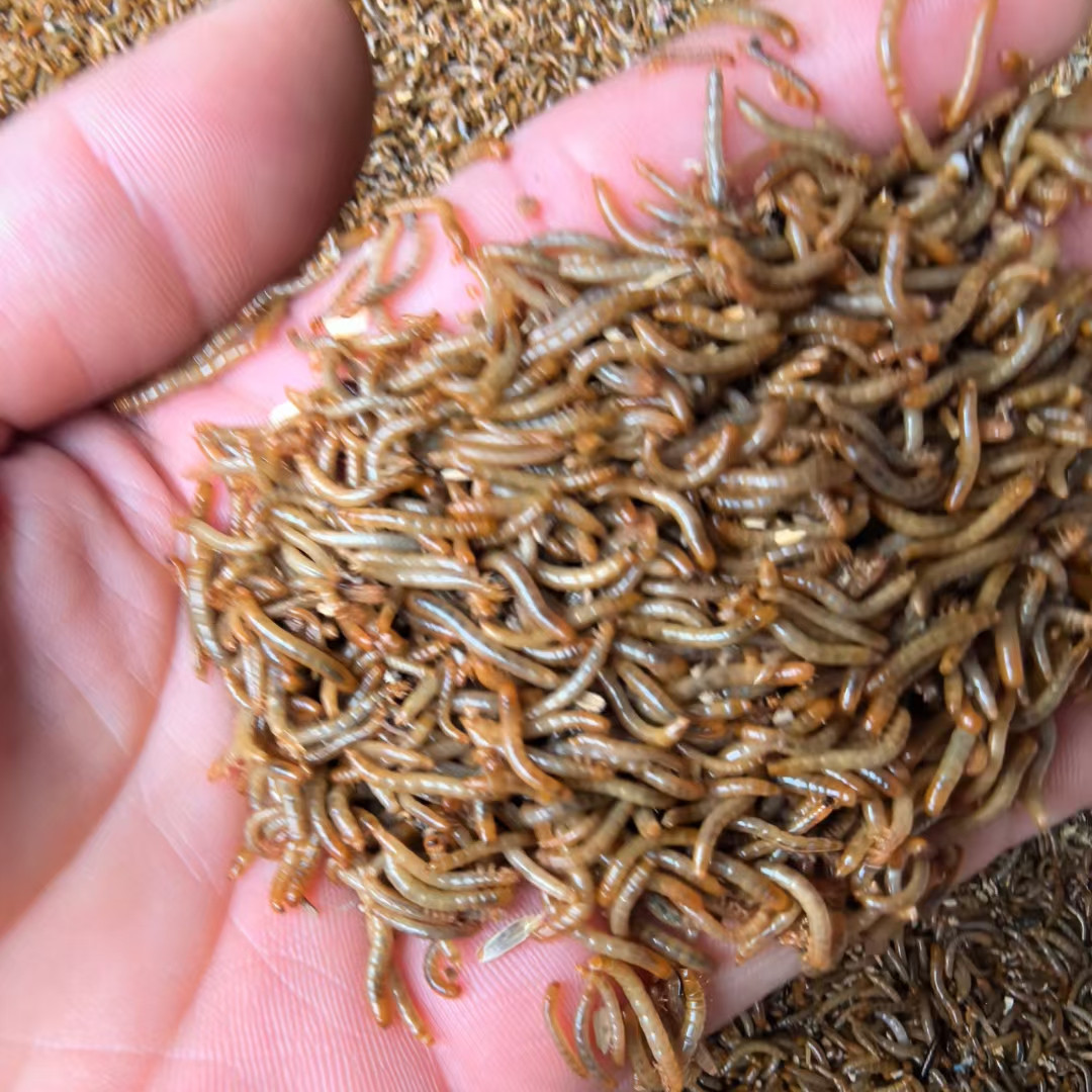 QQ图片20241011125130