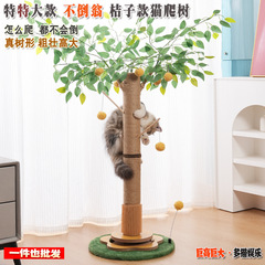 大号猫爬架树小型不占地猫抓板磨抓不掉屑猫窝抓柱幼猫咪玩具用品