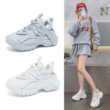 Դ�^�S���U��݆̥���ϵ�ЬŮ2025�ļ��¿�r�аٴ�͸���������eЬ