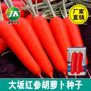 ���l����t�����}���N���r���＾���NͰ�b300�˼tƤ���ĺ��}����