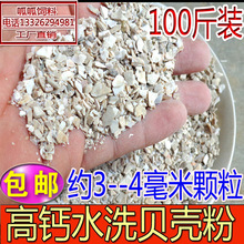 ؐ������� �a�}   �u���Z�����r�B����a�} ؐ����