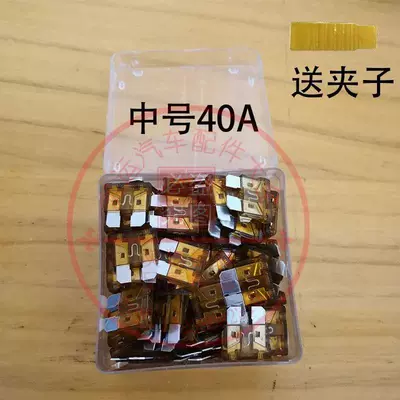 Insert 30A 20A 40A – Other Electric Vehicle Accessories - enhanced-version-100-pieces-medium-size-40a-comes-with-clip