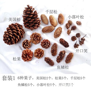 ���ɹ���ɏ��ѩ�����޻��ɻ�ɭϵ���ϰ�diy�ֹ��׃��@�h������