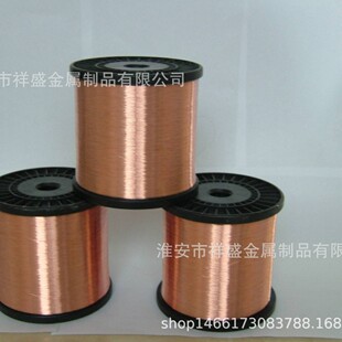Jiangsu Manufacturer Uses Conductive Wire Copper-Clad Steel Bare Wire Ccs for Blasting Lines. Cheap Price and Complete Specifications