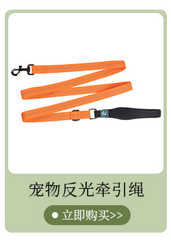 General Position_01_03